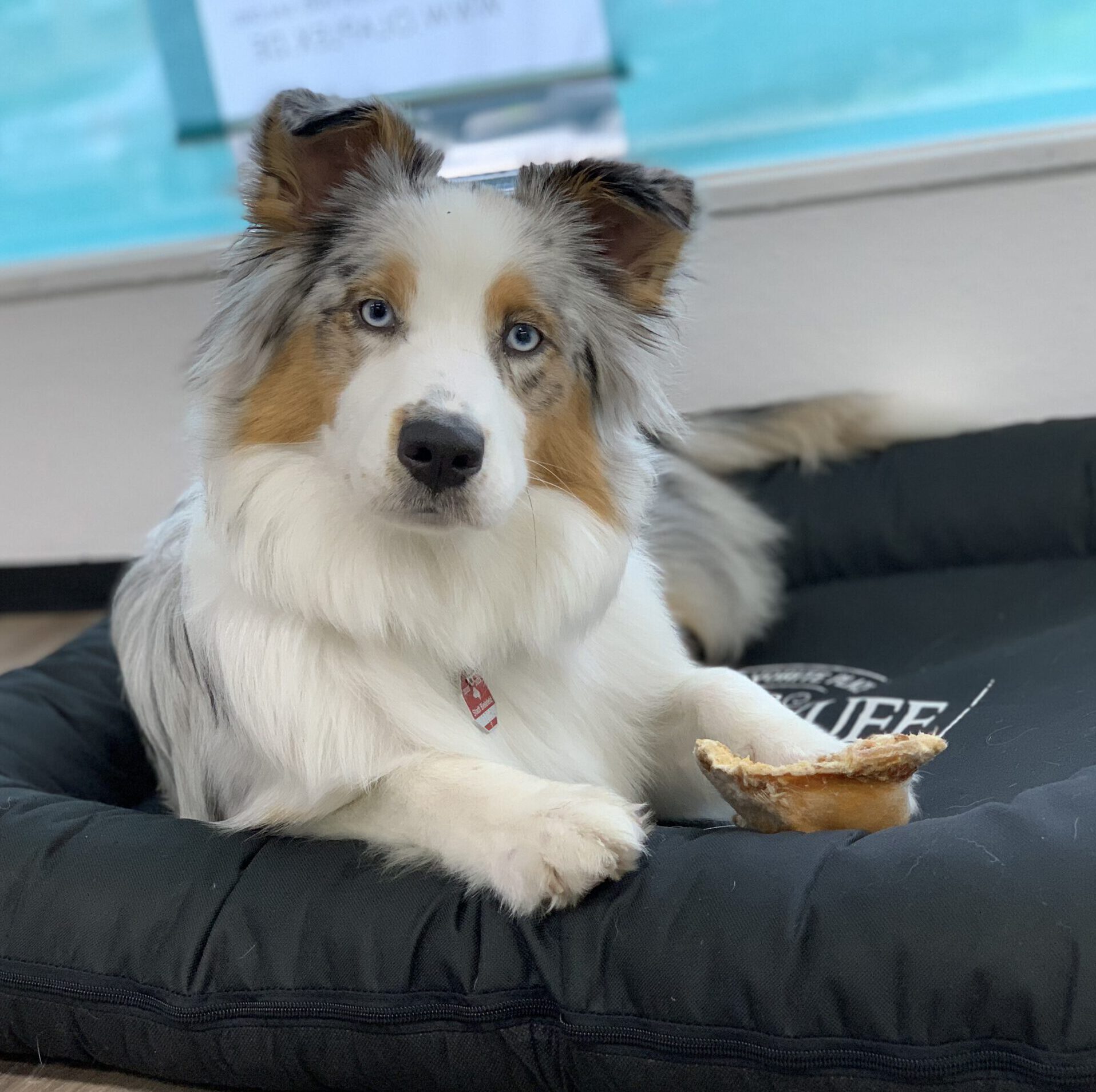 Feel Good Manager Friseur Team Feldstraße